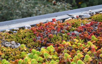 the cost of Red Lodge green roof installation