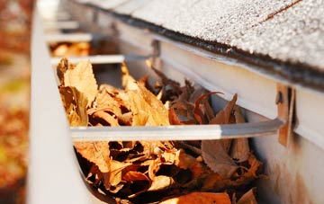 Red Lodge gutter cleaning companies