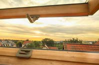rated Red Lodge roof window companies